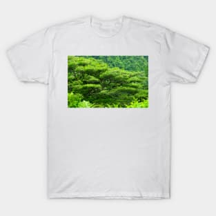 Shades of Green T-Shirt